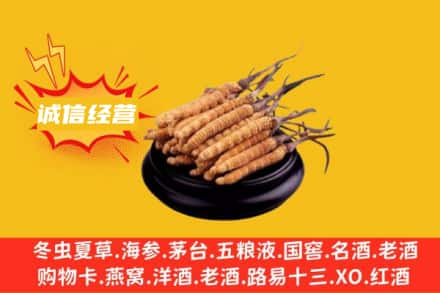 南溪区回收冬虫夏草